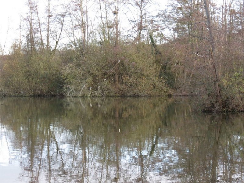 2012-12-16-Ornithologie à Écluzelles